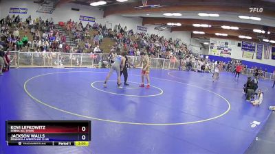 132 lbs Cons. Round 3 - Kovi Lefkowitz, Cobra All Stars vs Jackson Walls, Peninsula Wrestling Club