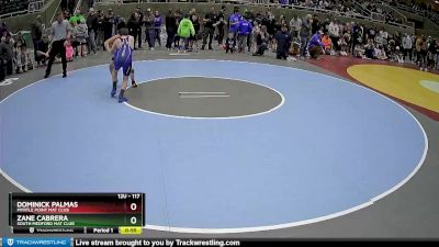 117 lbs Quarterfinal - Zane Cabrera, South Medford Mat Club vs Dominick Palmas, Myrtle Point Mat Club