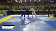 CONNOR T HARRIS vs COLTON RANDLE CARR 2024 Pan Jiu Jitsu IBJJF Championship