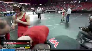 D1-120 lbs Champ. Round 1 - Cole Fitzpatrick, La Crosse Logan/Cen. vs Carter Freeman, Wis. Rapids Lincoln