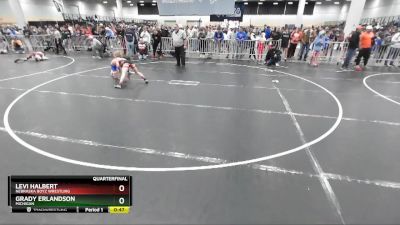 97 lbs Quarterfinal - Grady Erlandson, Michigan vs Levi Halbert, Nebraska Boyz Wrestling