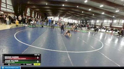 62 lbs Cons. Round 4 - Aiker Palmer, Blanding Pride vs Bronx Harris, Iron County Wrestling Academy