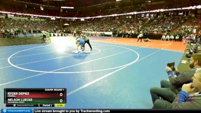 D1-195 lbs Champ. Round 1 - Nelson Luecke, Waukesha West vs Ryder Depies, Merrill