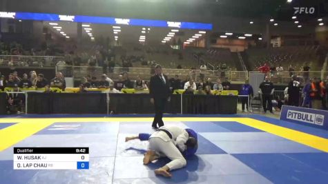 WOJCIECH HUSAK vs QUOC LAP CHAU 2024 Pan Jiu Jitsu IBJJF Championship
