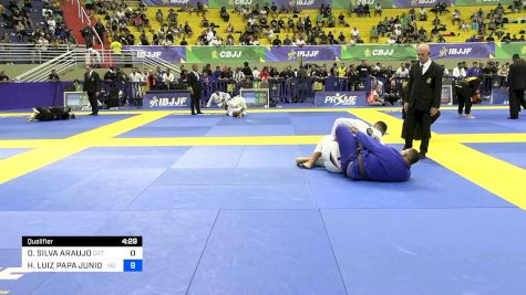 DANIEL SILVA ARAUJO vs HELENO LUIZ PAPA JUNIOR 2024 Brasileiro Jiu-Jitsu IBJJF