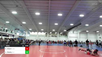 165 lbs Quarterfinal - Cash Albert, Lynx Wrestling Club vs Locke Olesky, Silverback WC