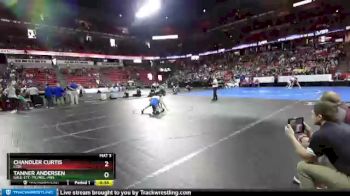 D2-132 lbs 3rd Place Match - Tanner Andersen, Gale-Ett.-Tr./Mel.-Min. vs Chandler Curtis, Lodi