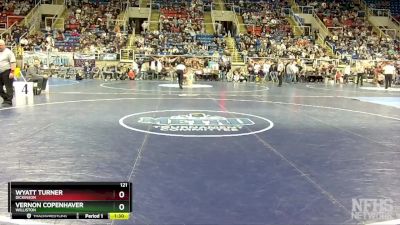 121 lbs Semifinal - Wyatt Turner, Dickinson vs Vernon Copenhaver, Williston