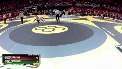 D1-165 lbs Cons. Round 2 - Aiden Peterson, St. Edward vs Austin Holman, Milford