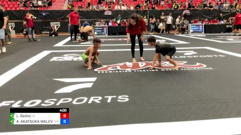 Lorenzo Godoy vs ANTONIO AKATSUKA WALEVEIN 2024 ADCC Sao Paulo Open