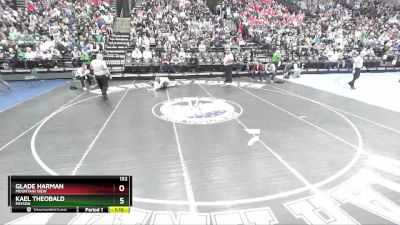 132 lbs Semifinal - Glade Harman, Mountain View vs Kael Theobald, Payson