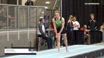 Loic Cremer - Tumbling, Phoenix Gym Centre - 2019 Elite Canada T and G