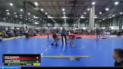 85 lbs Placement (4 Team) - Tate Goodson, BLACKHAWK WC vs Emmett Brown, GREAT BRIDGE WRESTLING CLUB