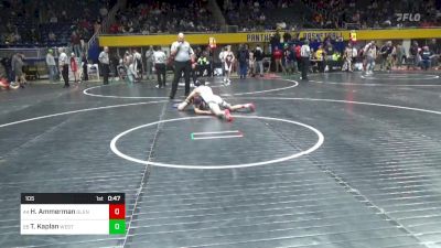 105 lbs Rd 2 - Consi Of 16 #1 - Hunter Ammerman, Glendale vs Troy Kaplan, West Chester East