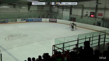 Replay: Home - 2024 Menace vs Cougars | Mar 15 @ 7 PM