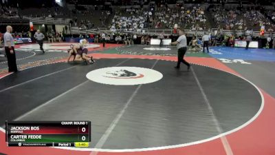 Champ. Round 1 - Jackson Bos, Norfolk vs Carter Fedde, Columbus