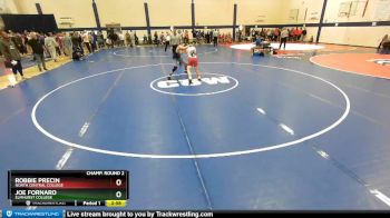 133 lbs Champ. Round 2 - Robbie Precin, North Central College vs Joe Fornaro, Elmhurst College