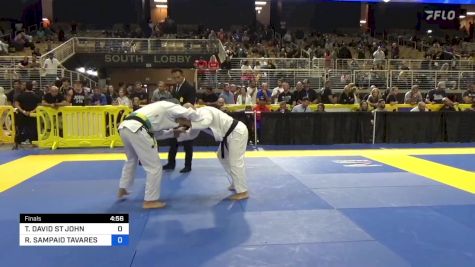 TIMOTHY DAVID ST JOHN vs RENATO SAMPAIO TAVARES FILHO 2024 Pan Jiu Jitsu IBJJF Championship