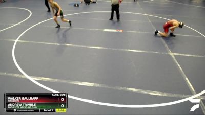 114 lbs Cons. Semi - Walker Gaulrapp, Minnesota vs Andrew Trimble, Rochester Wrestling Club