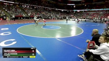 D3-138 lbs Quarterfinal - Elliott Biba, Iowa-Grant/Highland vs Dylan Dodson, Marathon