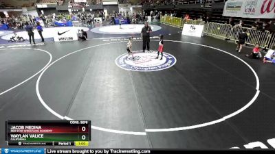 49 lbs Cons. Semi - Jacob Medina, Red Star Wrestling Academy vs Waylan Valice, California