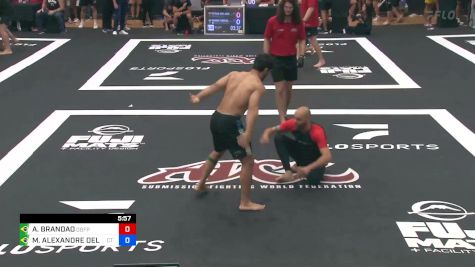 ARLEY BRANDAO vs MARTEL ALEXANDRE DEL COLLE 2024 ADCC South American Trials 2