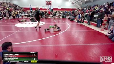 38-43 lbs Round 5 - Malia Maestas, Junior Bulldogs vs Liam Engelman, Platte Valley Jr WC