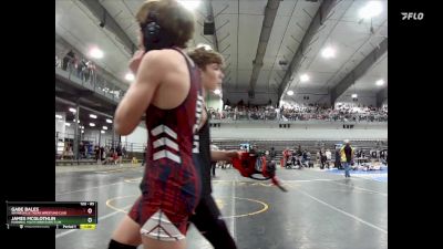 85 lbs Quarterfinal - Gabe Bales, Waynesville Tigers Wrestling Club vs James McGlothlin, Hannibal Youth Wrestling Club