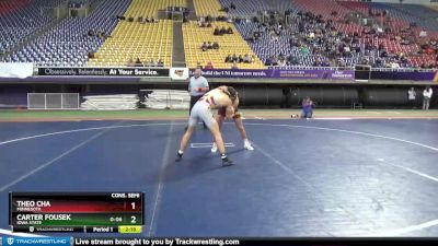 141 lbs Cons. Semi - Theo Cha, Minnesota vs Carter Fousek, Iowa State