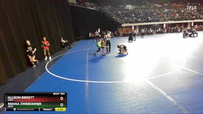 107 lbs Round 3 - Allison Birkett, Iowa vs Reiona Zweibohmer, Iowa