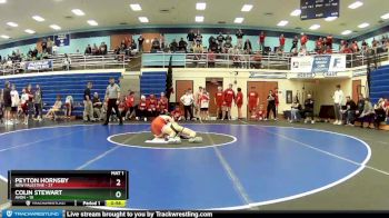 140 lbs Semis (4 Team) - Peyton Hornsby, New Palestine vs Colin Stewart, Avon