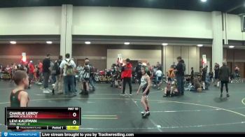 53 lbs Semis (4 Team) - Levi Kaufman, Steel Valley vs Charlie Leroy, Armory Athletics