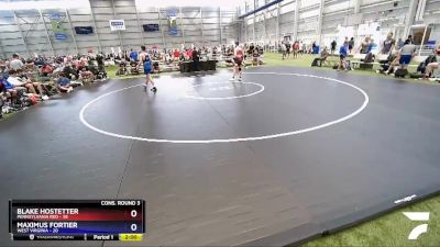 138 lbs Semis & 3rd Wb (16 Team) - Blake Hostetter, Pennsylvania Red vs Maximus Fortier, West Virginia