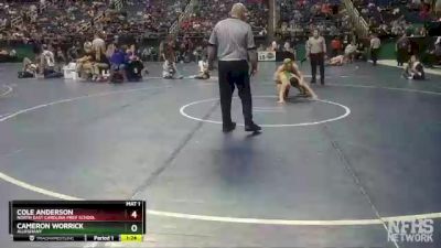 1A 138 lbs Quarterfinal - Cole Anderson, North East Carolina Prep School vs Cameron Worrick, Alleghany