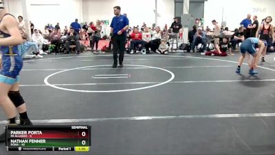 92 lbs Semis (4 Team) - Nathan Fenner, POWA vs Parker Porta, PA Alliance