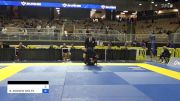 CHRISTIAN A RODRIGUEZ vs BRIAN ANDREW WOLFE 2024 Pan Jiu Jitsu IBJJF Championship