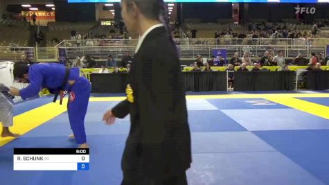RAUL SCHUNK vs THIAGO FERREIRA ALVES GONTIJO 2024 Pan Jiu Jitsu IBJJF Championship