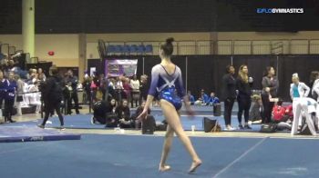 Joy Ziegenfelder - Floor, Sun Country - 2018 Tampa Bay Turner's Invitational
