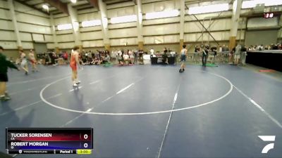 138 lbs Cons. Round 2 - Tucker Sorensen, CA vs Robert Morgan, ID