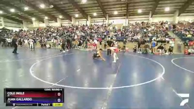 132 lbs Cons. Round 4 - Cole Ingle, ID vs Juan Gallardo, CA