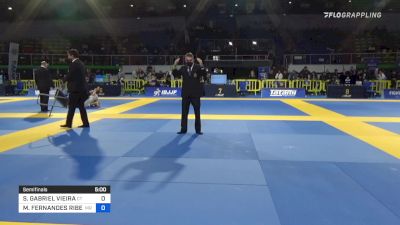 SANDRO GABRIEL VIEIRA vs MATHIAS FERNANDES RIBEIRO 2022 European Jiu-Jitsu IBJJF Championship