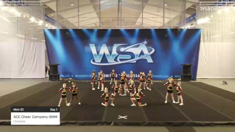 ACE Cheer Company-BHM - Choctaws [2022 L1 Mini-D1 Day 1] 2022 WSA Birmingham