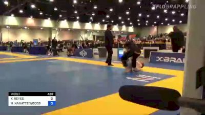 YANELISA REYES vs HEATHER NANATTE WOODS 2022 World Master IBJJF Jiu-Jitsu Championship