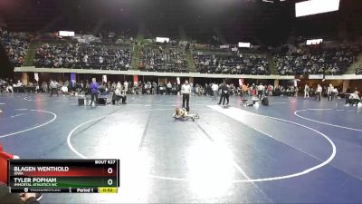 67 lbs Cons. Round 2 - Blagen Wenthold, Iowa vs Tyler Popham, Immortal Athletics WC