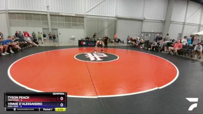 132 lbs Semis & 3rd Wb (16 Team) - Tyson Peach, Wisconsin vs Vinnie D`Alessandro, Ohio Gray