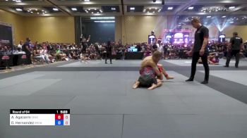 Aj Agazarm vs Daniel Hernandez 2022 ADCC West Coast Trial