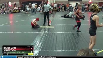 56 lbs Round 3 (4 Team) - Tanner James, Team Palmetto vs Gabriel Lowe, Contenders Wrestling Academy Green