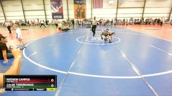 64 lbs Rd# 4- 2:00pm Friday Final Pool - Mathew Campos, Cali Red vs Caleb Tsikerdanos, Maryland GOLD