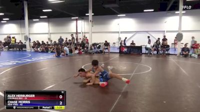 110 lbs Placement Matches (8 Team) - Chase Morris, New York vs Alex Herburger, Colorado Red