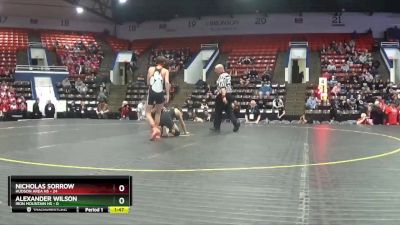 113 lbs Quarterfinals (8 Team) - Nicholas Sorrow, Hudson Area HS vs Alexander Wilson, Iron Mountain HS